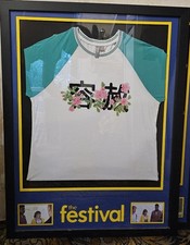 Festival amy screen for sale  LIVERPOOL