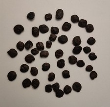 Glycine chine 5 d'occasion  Châteauroux