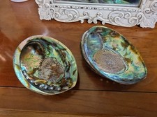 Pair two abalone for sale  TAUNTON