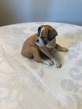 Pups galore boxer for sale  HALIFAX