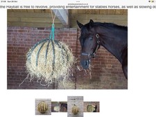 Hay ball horse for sale  NORTH TAWTON