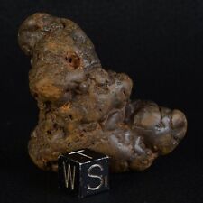 Fossile coprolithe dinosaure d'occasion  Cavaillon