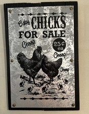 barn yard chicks for sale barn yard chicks for sale Washington