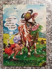 euter kuh gebraucht kaufen euter kuh gebraucht kaufen Schönebeck (Elbe)