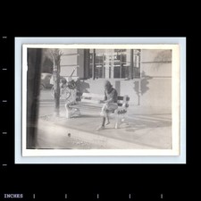 Foto antiga vintage HOMEM SEM-TETO BICICLETA PRIMEIRA CONFIANÇA E BANCO DE POUPANÇA PASADENA comprar usado  Enviando para Brazil