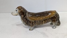 Long haired dachshund for sale  YORK