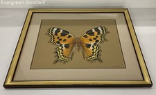 butterfly prints for sale butterfly prints for sale Seattle