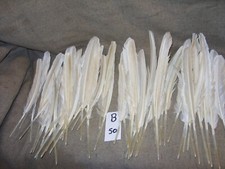 Swan feathers for sale  IPSWICH