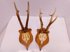 Pair antique vintage for sale  Evanston