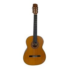 Aria 550 concert usato  Ascoli Piceno