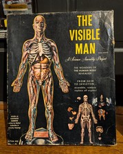 Visible man plastic for sale  York