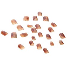 Scatola premere sulle usato Scatola premere sulle usato  Spedire a Italy