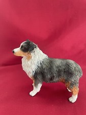 Australian shepherd blue for sale  San Jose