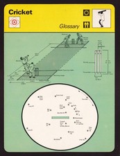 Glossario cricket rules usato  Spedire a Italy
