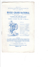 Bucks grand national for sale  LEYBURN