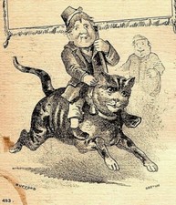 1880 sweet dry for sale  Holland