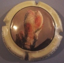 Capsule champagne cotes d'occasion  Saint-Clair-du-Rhône