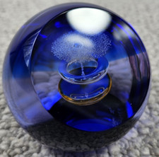 Caithness scotland etheria for sale  Storrs Mansfield