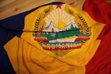Fahne flagge 135x350cm gebraucht kaufen  Adelebsen
