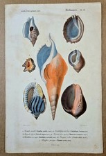 Watercolor gum engraving d'occasion  Expédié en Belgium