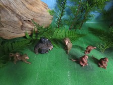 Affen pavian gorilla gebraucht kaufen  Steinach