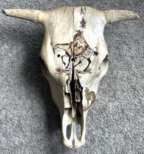 Genuine cow steer for sale  Hamilton
