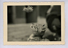 Snapshot the decoy d'occasion  Toulouse-