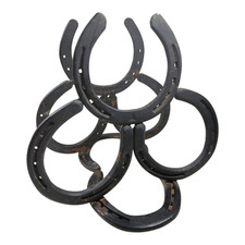 Croix forge horseshoe for sale  Brownfield