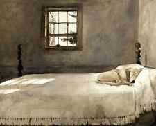 Print canvas master for sale  Topsham
