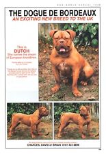 Dogue bordeaux dog d'occasion  Expédié en Belgium