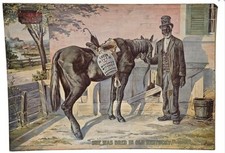 1899 shonk co. for sale  Tolono