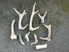 Lot morceaux bois d'occasion  France