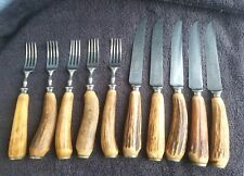Stag antler horn for sale  BLACKBURN