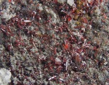 Proustite crystals rich for sale  Bisbee