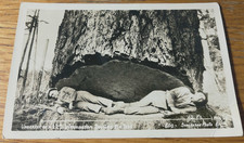 Old photo post for sale  Pine Grove