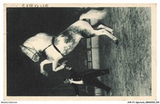 Avrp1 0017 spectacle d'occasion Avrp1 0017 spectacle d'occasion  France