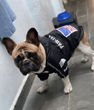 Pet clothes windbreaker for sale  Brooklyn
