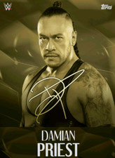 ⭐ TOPPS WWE SLAM | MONOCHROMATYCZNY 25 DROP 2 | KOMPLETNE ZESTAWY ⭐, używany na sprzedaż  Wysyłka do Poland