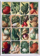 Planche pédagogie légumes d'occasion  Saint-Léger-sur-Dheune