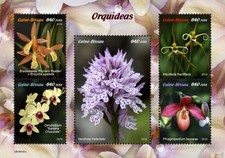 Guinea bissau orchidee usato  Spedire a Italy