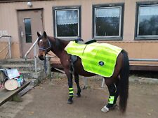 Warndecke ausreitdecke western gebraucht kaufen  Birkenfeld