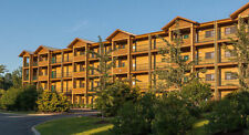 Mountainloft resort gatlinburg for sale  Oxford