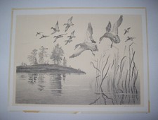 Original gerald landt for sale  Baraboo