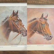 Beholder songbird fred for sale  Lincoln