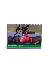 Ivan capelli grid usato  Lodi