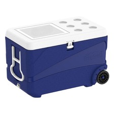 Deluxe icebox keep usato  Italia