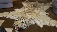 Echtes königstiger fell gebraucht kaufen  Garmisch-Partenkirchen