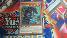 Pericolo bigfoot sr13 usato  Santa Sofia