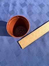 5.5 plastic plant for sale  RUGBY