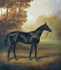 Pintura A Óleo Preto-Arrow-James-Lynwood - Palmer Animal Cavalo Preto Em Paisagem comprar usado  Enviando para Brazil